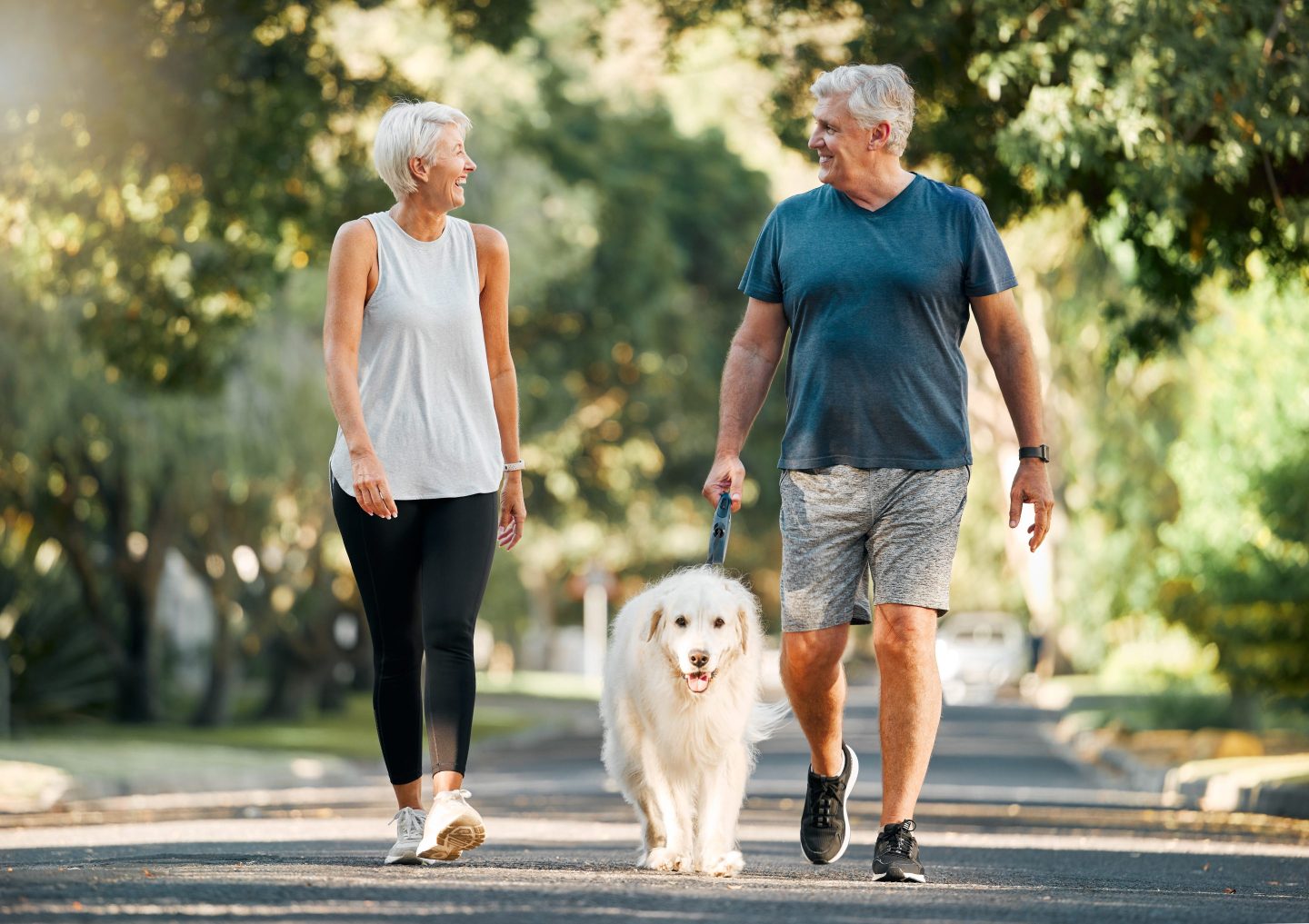 Older man and woman take a walk with a dog